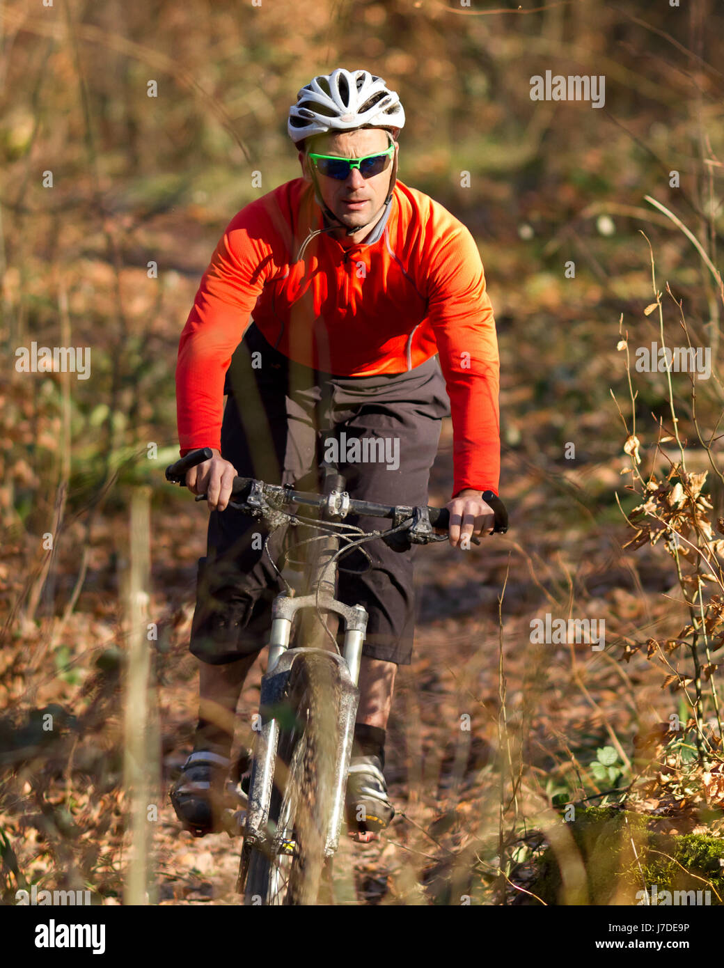 mountain bikers in the woods Stock Photo