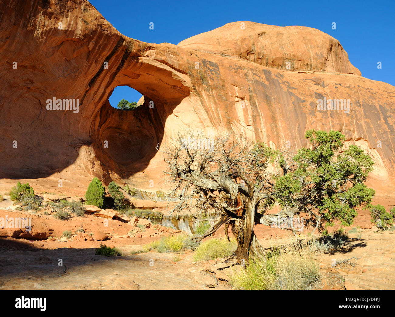 desert wasteland arch formation sandstone hiking design shaping shape model Stock Photo