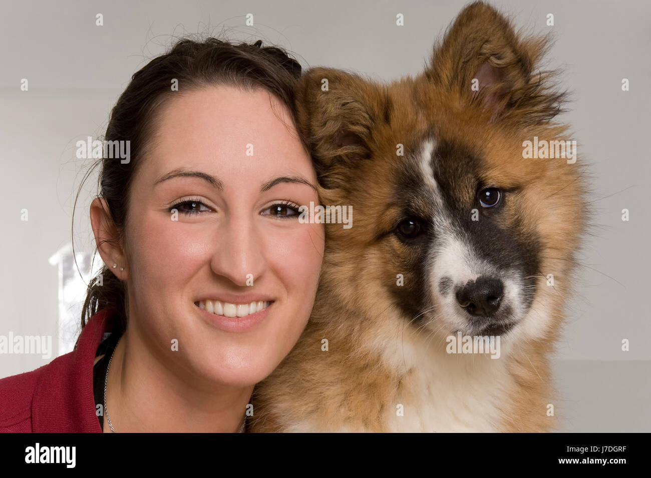 dog - elo Stock Photo - Alamy