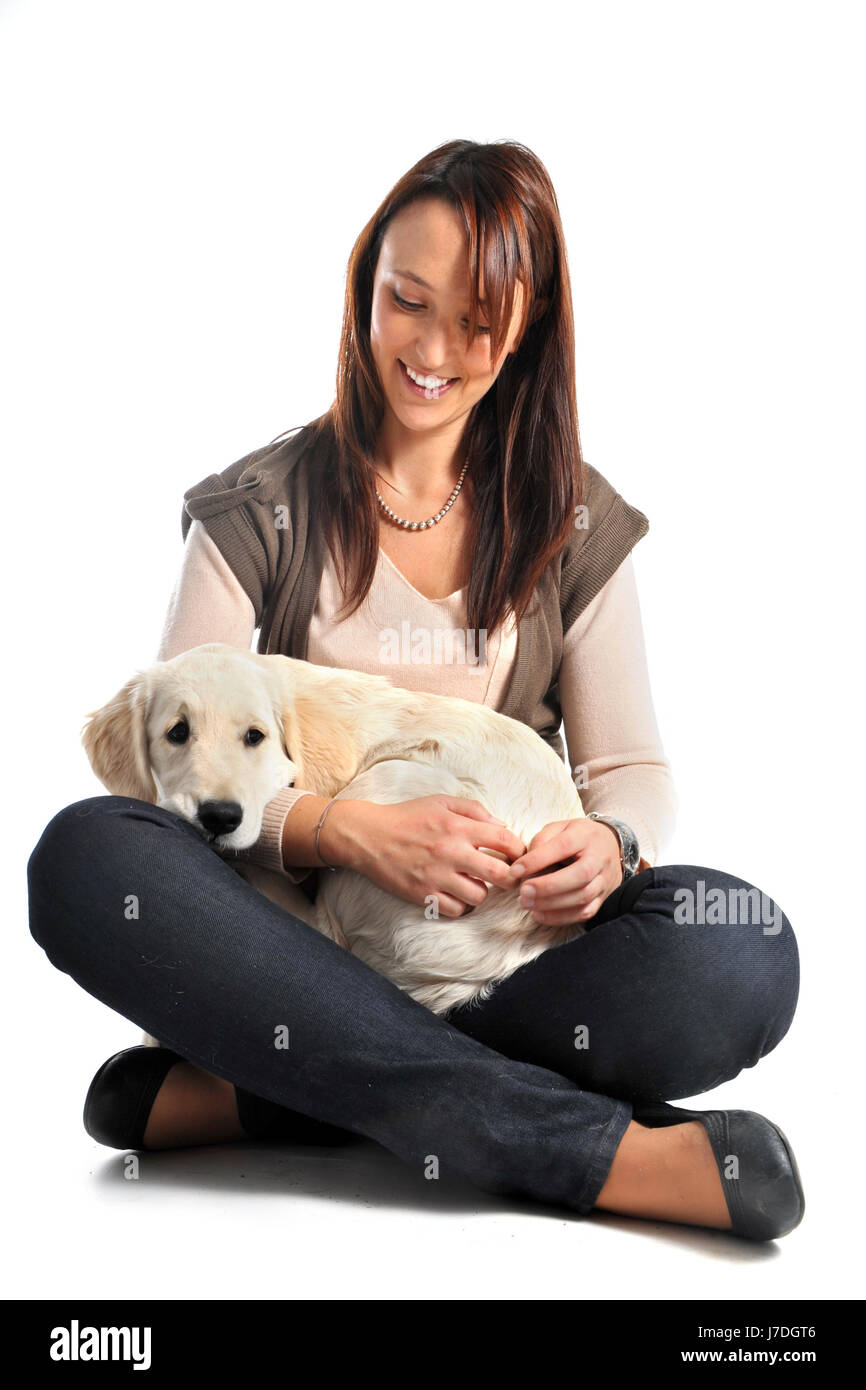 woman dog golden puppy laugh laughs laughing twit giggle smile smiling laughter Stock Photo