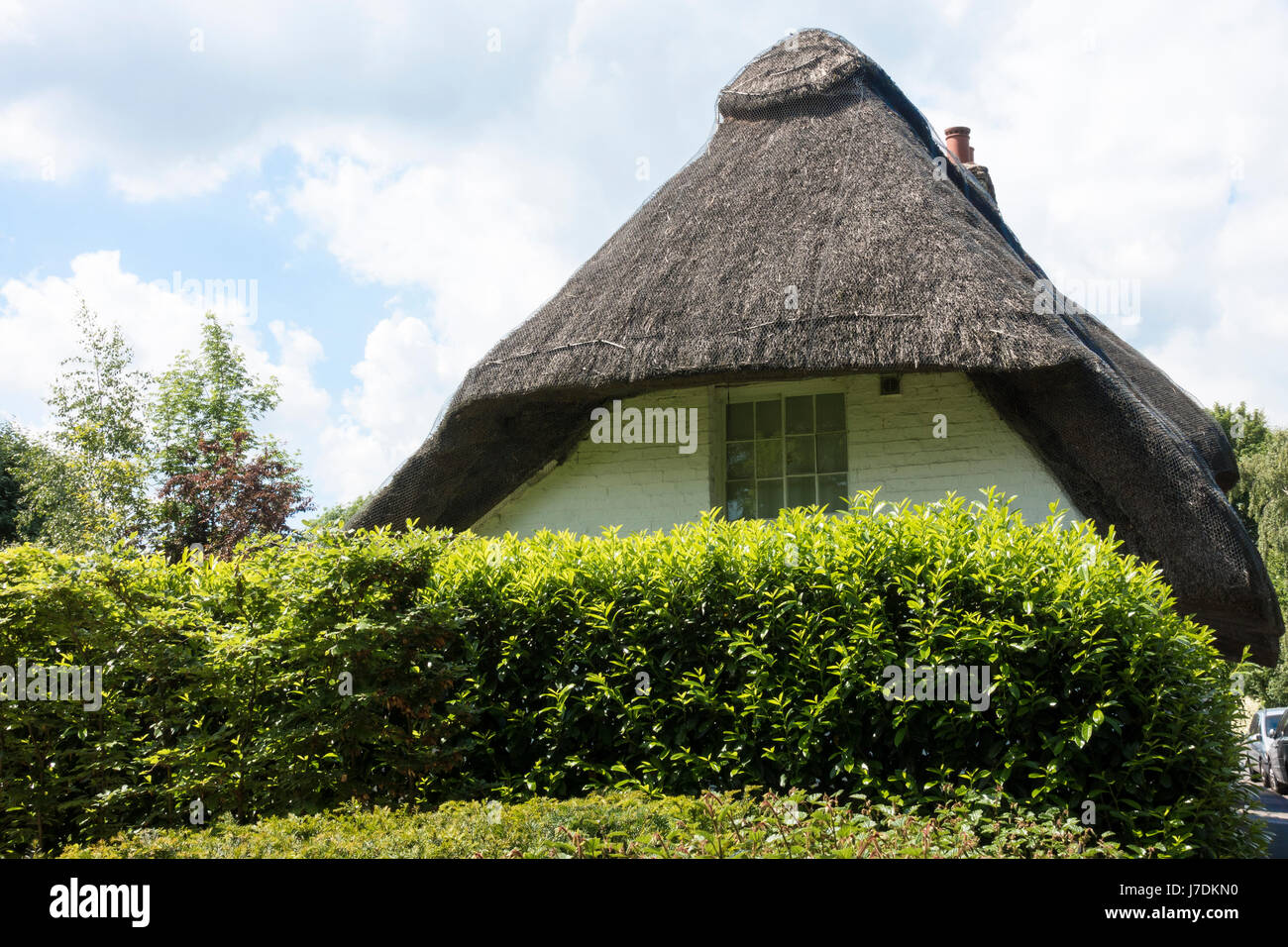 End of thatched cottage behind hedge Stock Photo