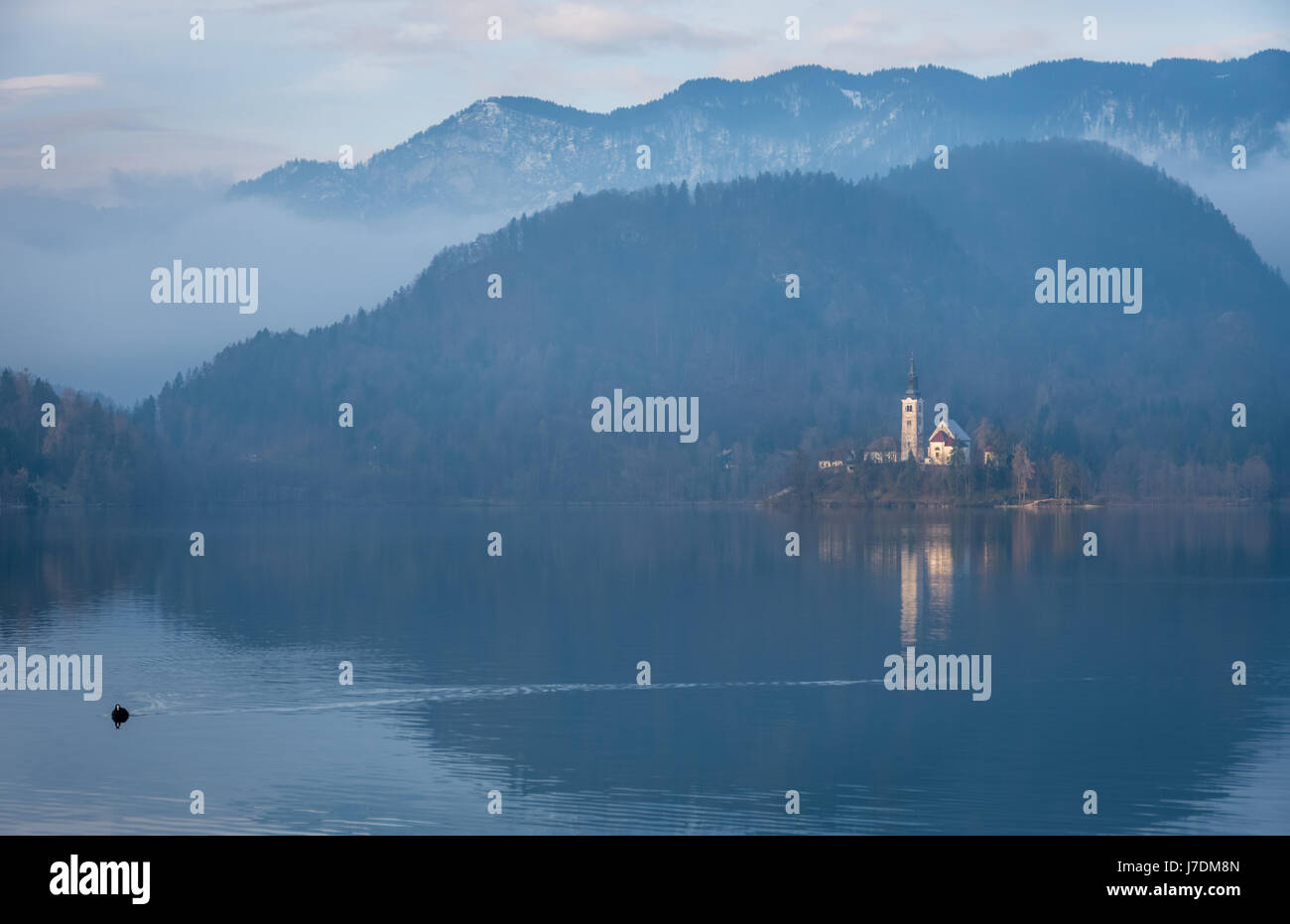 Morning by the Lake Bled Stock Photo