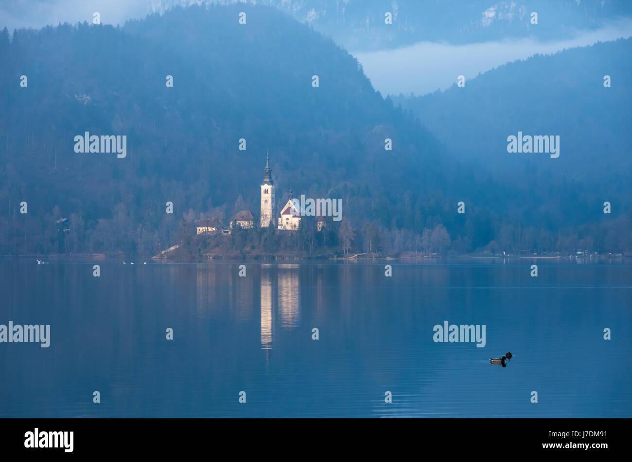 Morning by the Lake Bled Stock Photo