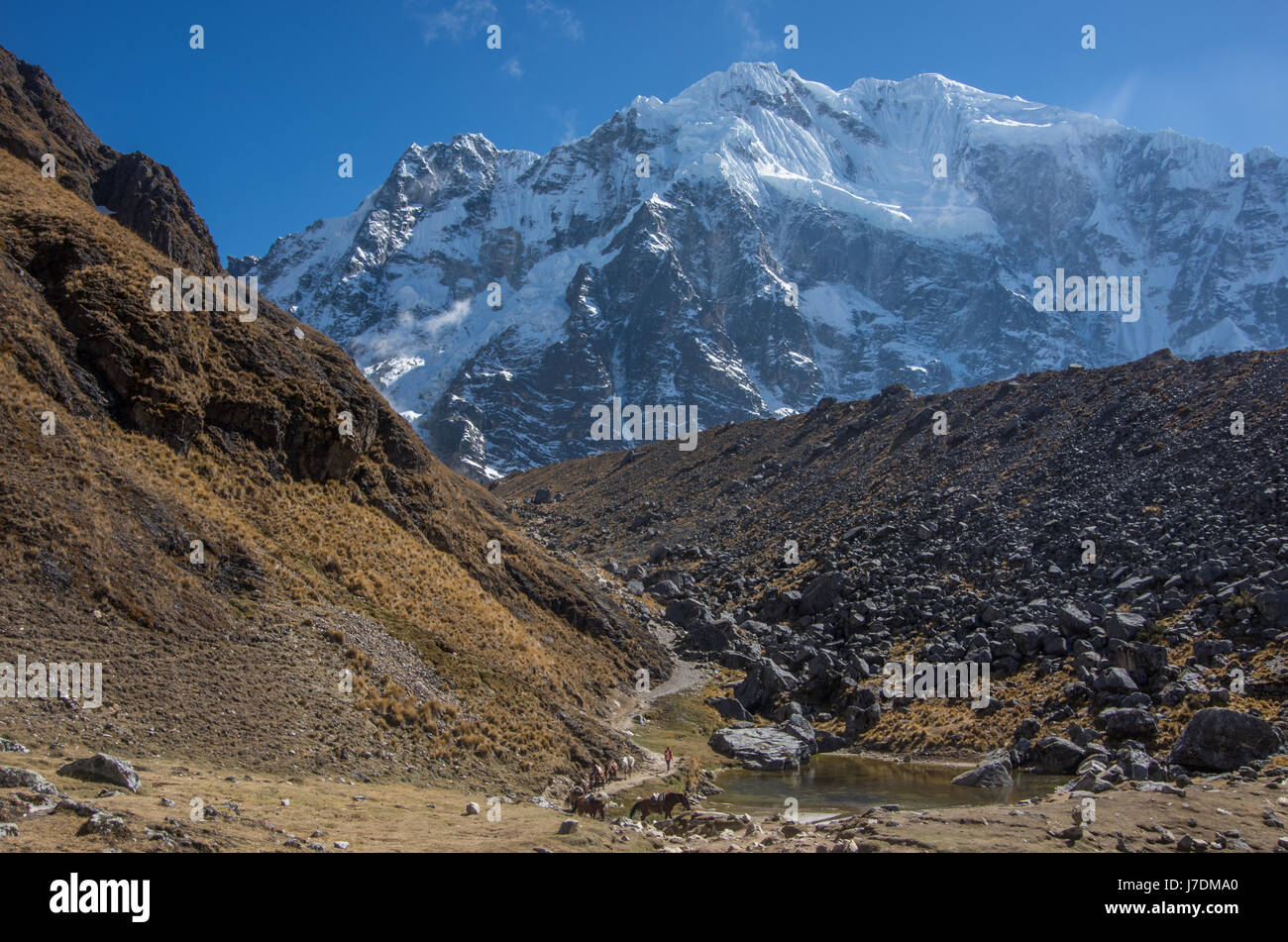 Salkantay Trek Stock Photo