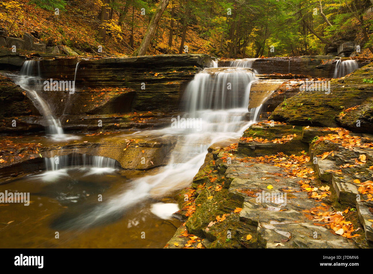 A Buttermilk Creek cascade along the Buttermilk Creek Gorge near Ithaca, New York in the fall. USA Stock Photo