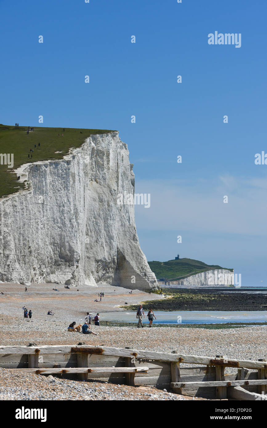 the background on a Summers Day.  Seven Sisters, East Sussex, UK Stock Photo