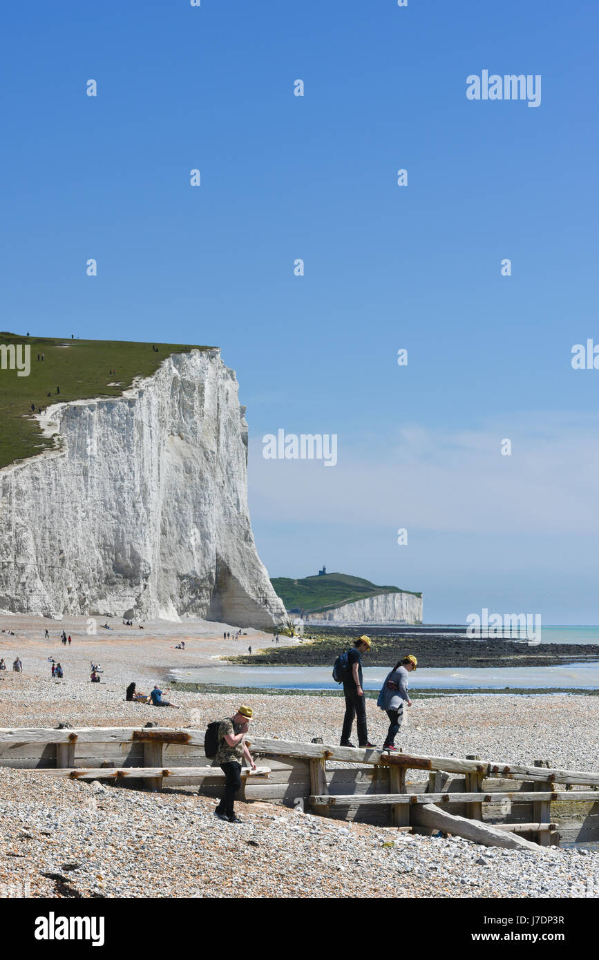 the background on a Summers Day.  Seven Sisters, East Sussex, UK Stock Photo