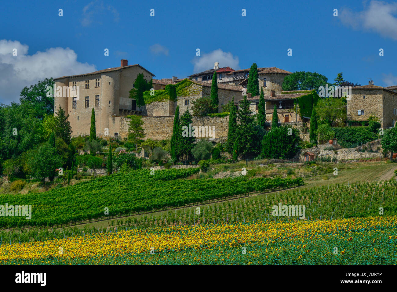 The 13th century Château de Mauriac in the Tarn region of Occitanie in the south of France. The colours of summer dominate the scene. Stock Photo