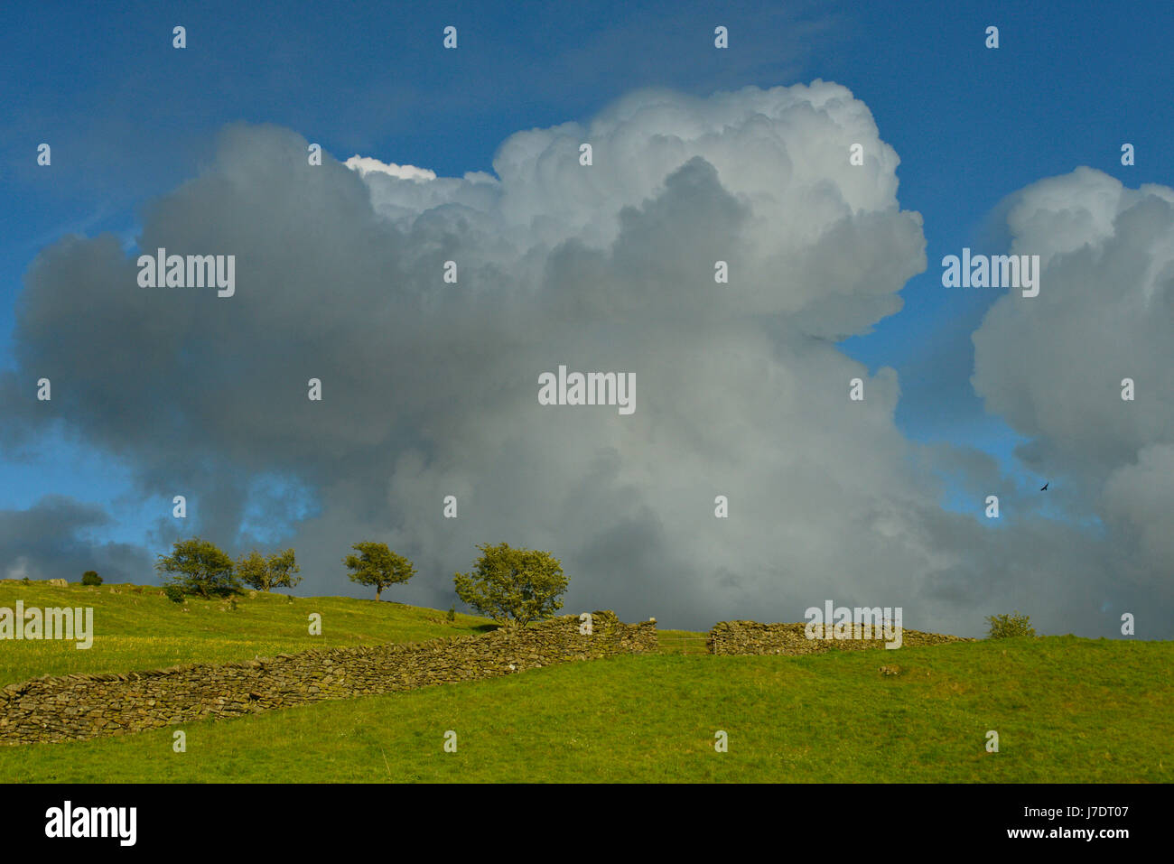 Lake District landscape, Cumbria, England, UK Stock Photo