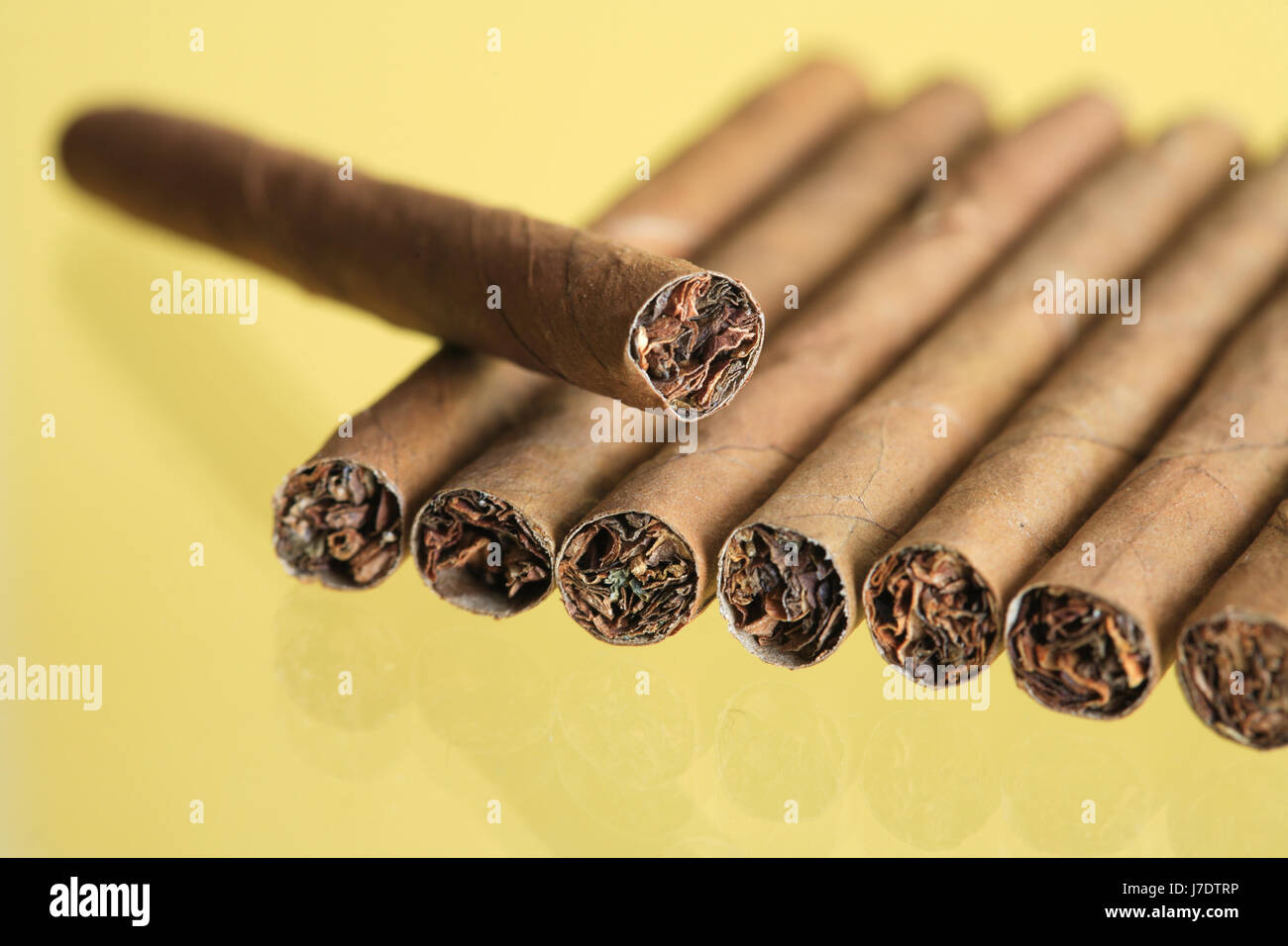 Yellow tobacco hi-res stock photography and images