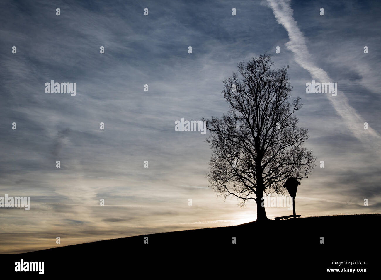 Sunrise with tree and black silhouette Stock Photo - Alamy