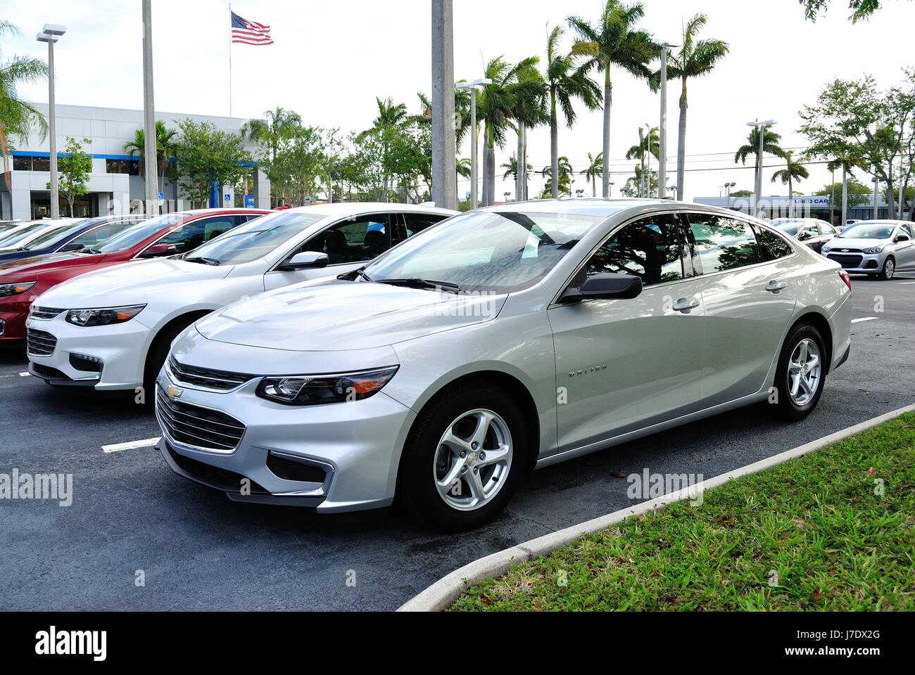 New Chevrolet Malibu lined up on the lot ready to be sold. Grieco Chevrolet Fort Lauderdale Florida May 23 2017. Chevrolet is a division of General Mo Stock Photo