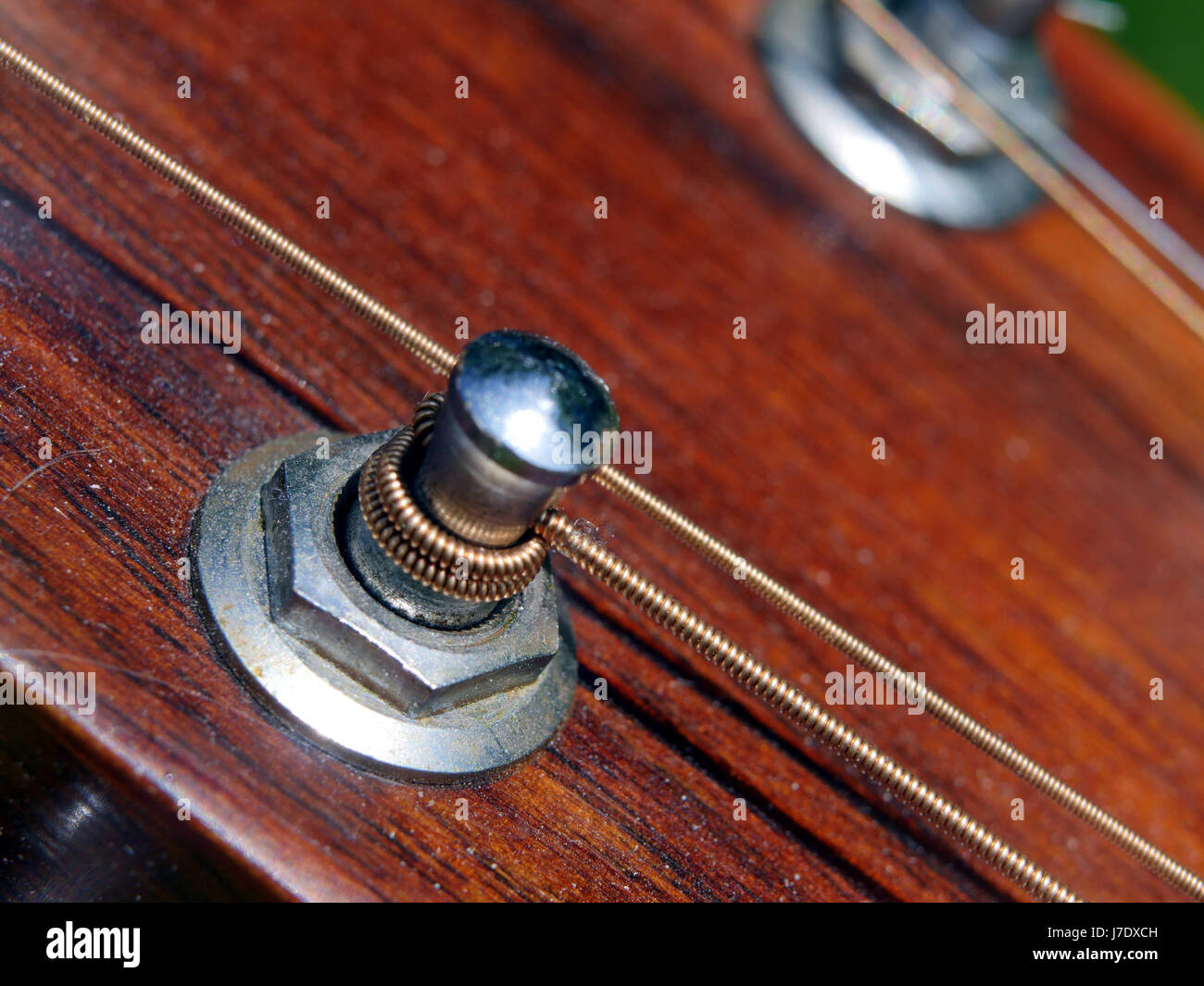 Close up detail of acoustic guitar strings and fittings Stock Photo