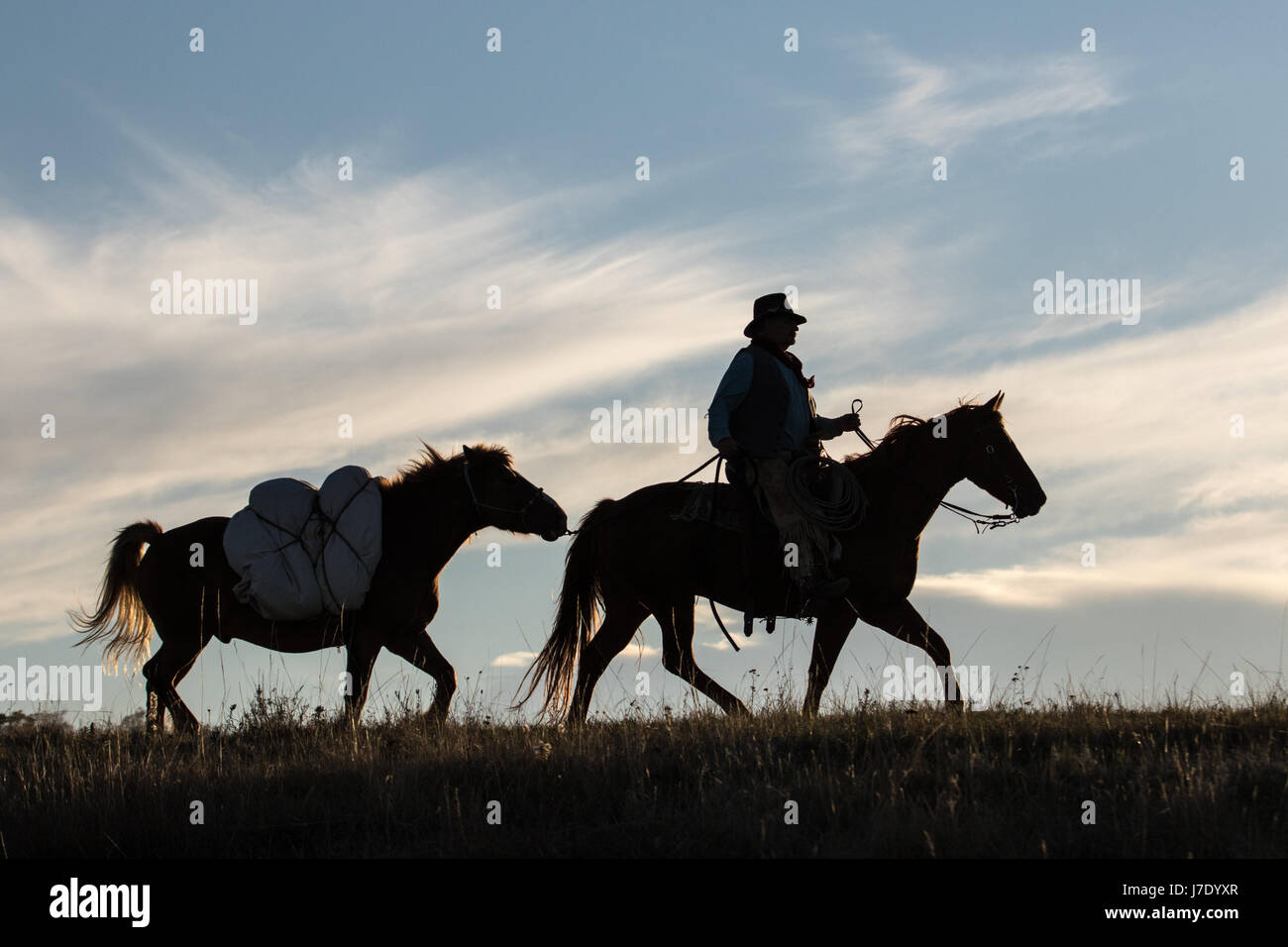 Pack Horse Silhouette