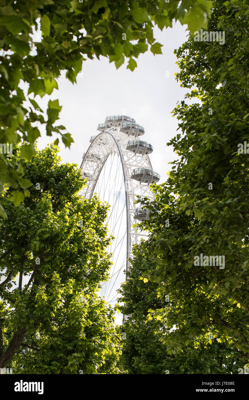 London Eye (Millennium Wheel) in Southbank, London Stock Photo