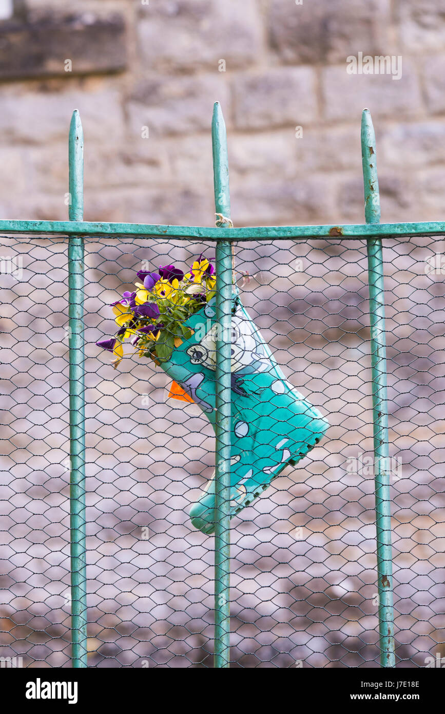 Childs wellington boot used as a flower pot full of pansies hanging on a metal fence. UK Stock Photo