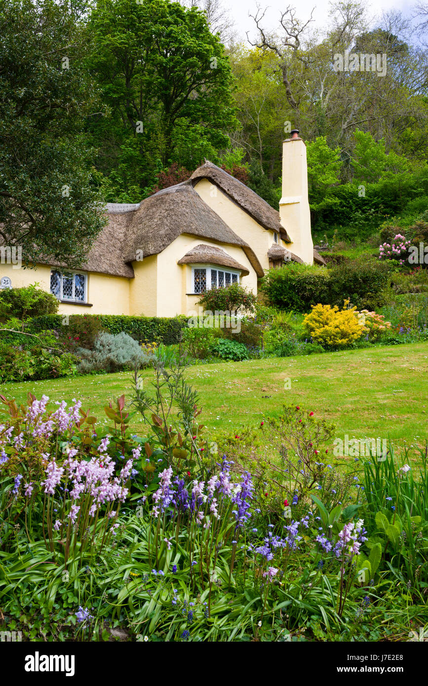 The National Trust village of Selworthy in Exmoor National Park, Somerset, England. Stock Photo