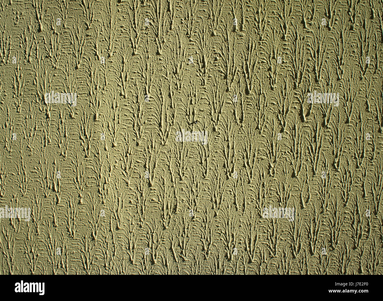 Lime Plaster Stock Photos & Lime Plaster Stock Images Alamy