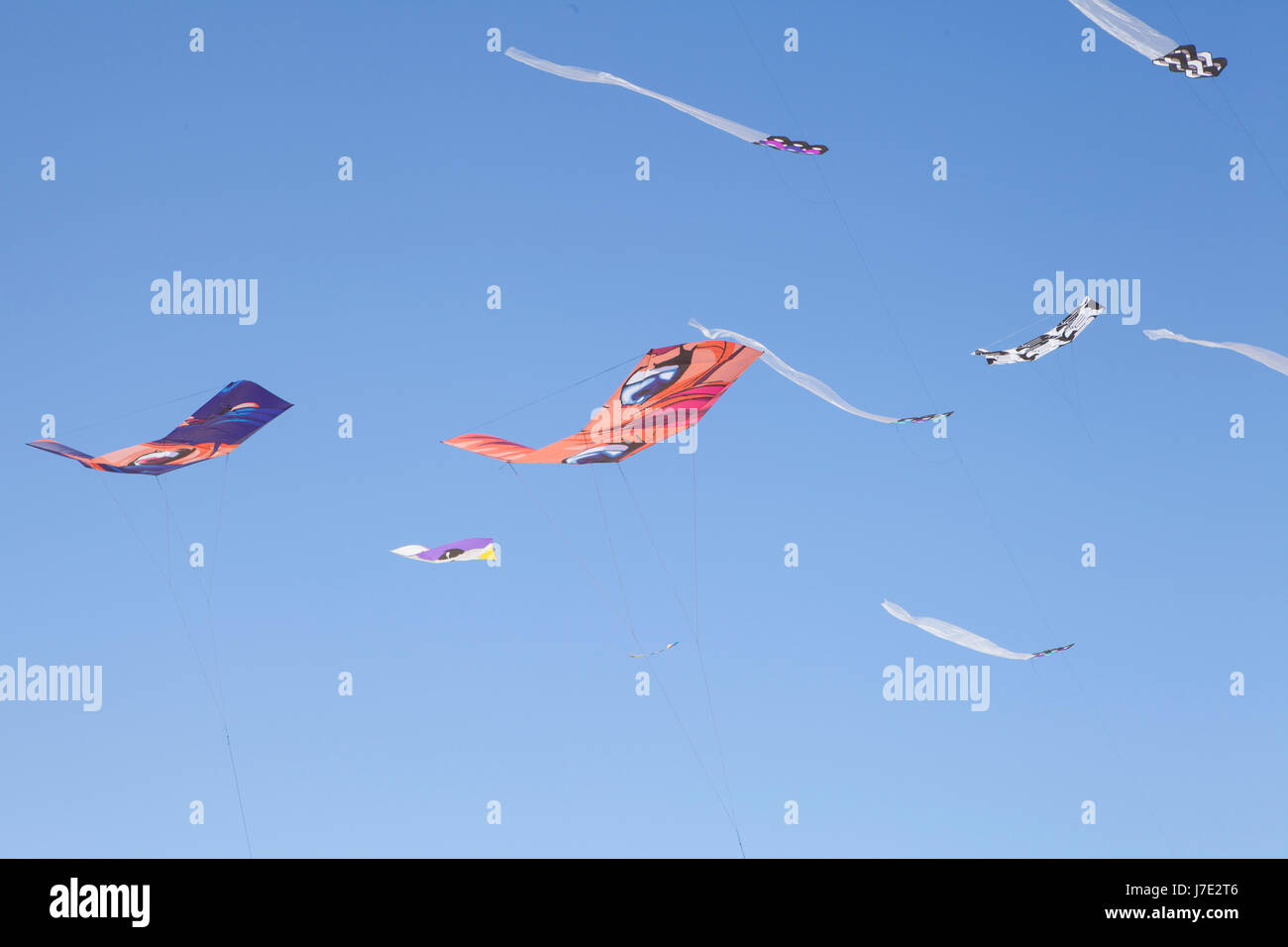 Festival of the Winds, Bondi Beach, Sydney. Kite flying festival. Stock Photo