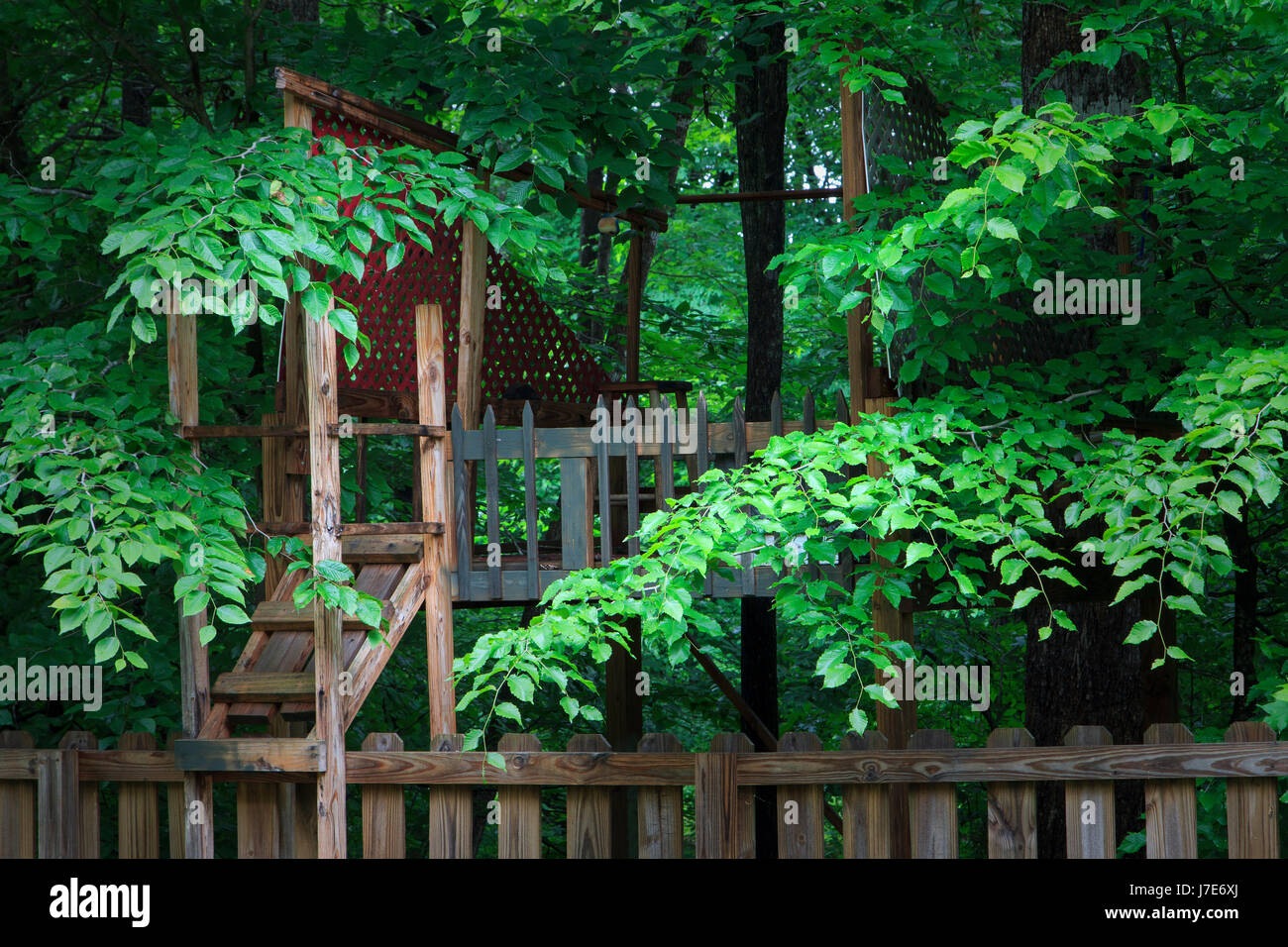 Backyard Tree house in woods Stock Photo Alamy