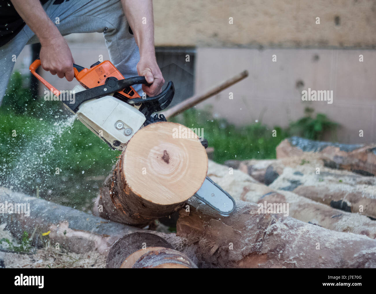Woodman cuts boulder with a chainsaw, firewood, felling of trees