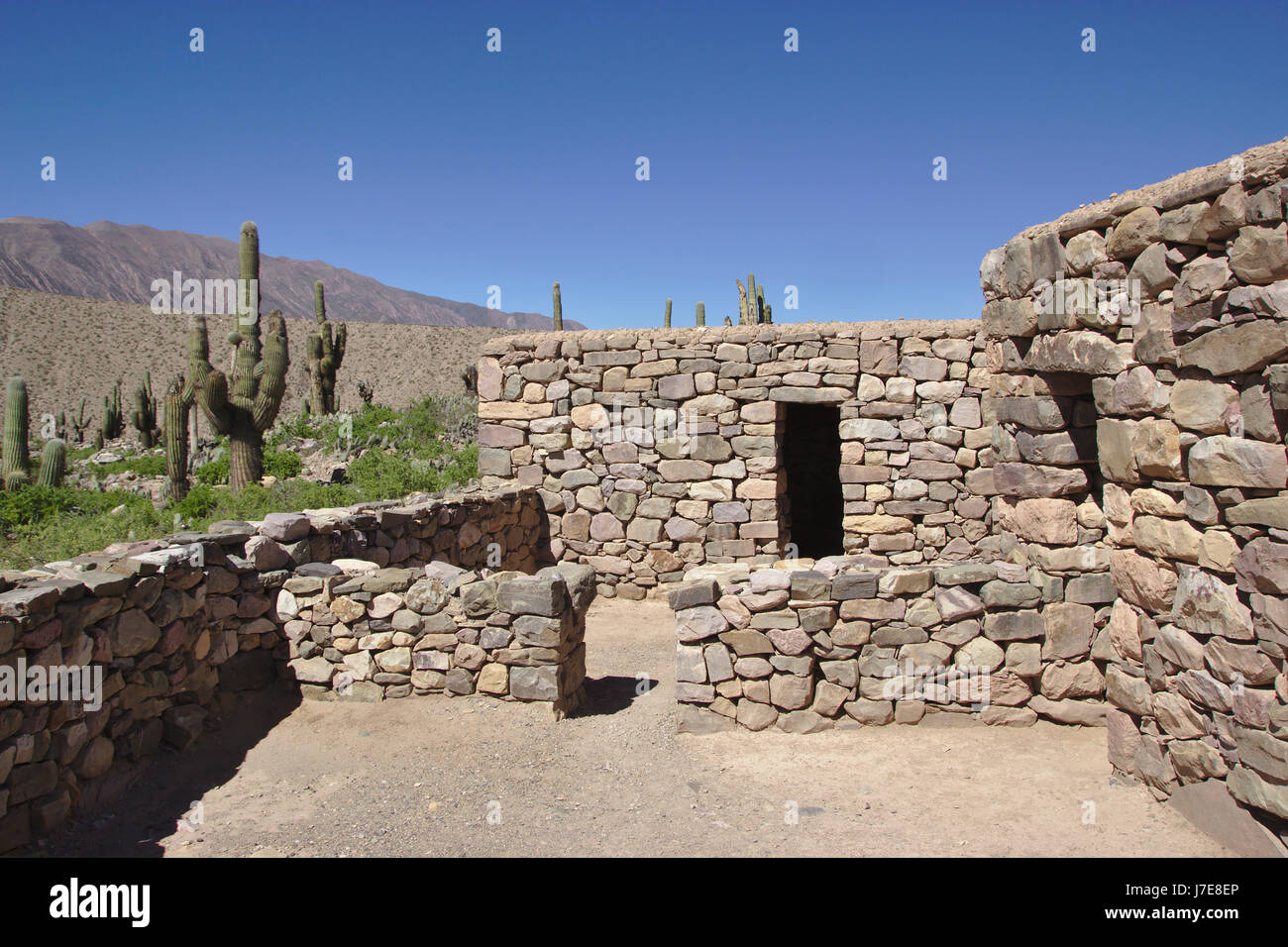 El Pucar Ruins In Tilcara Quebrada De Humahuaca Argentina Stock el-pucar-ruins-in-tilcara-quebrada-de-humahuaca-argentina-stock