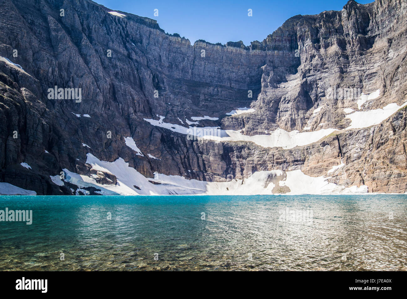 Iceberg lake Glacier National Park Landscape Flowers Wild flowers Stock ...