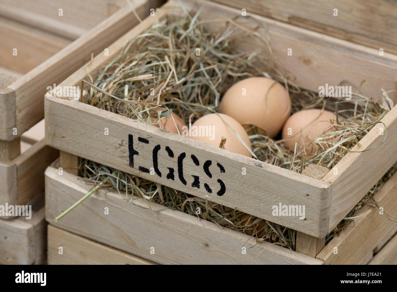 Eggs in a crate protected by Hay Stock Photo