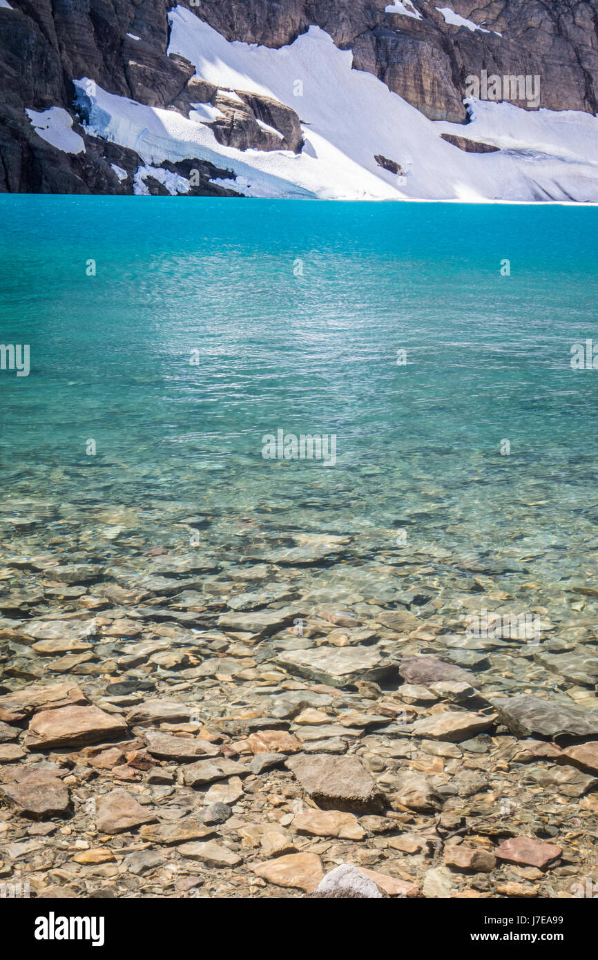 Iceberg lake Glacier National Park Landscape Flowers Wild flowers Stock ...