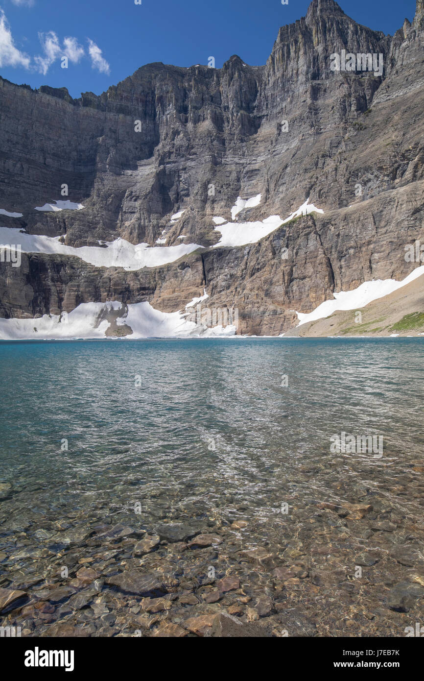 Iceberg lake Glacier National Park Landscape Flowers Wild flowers Stock ...