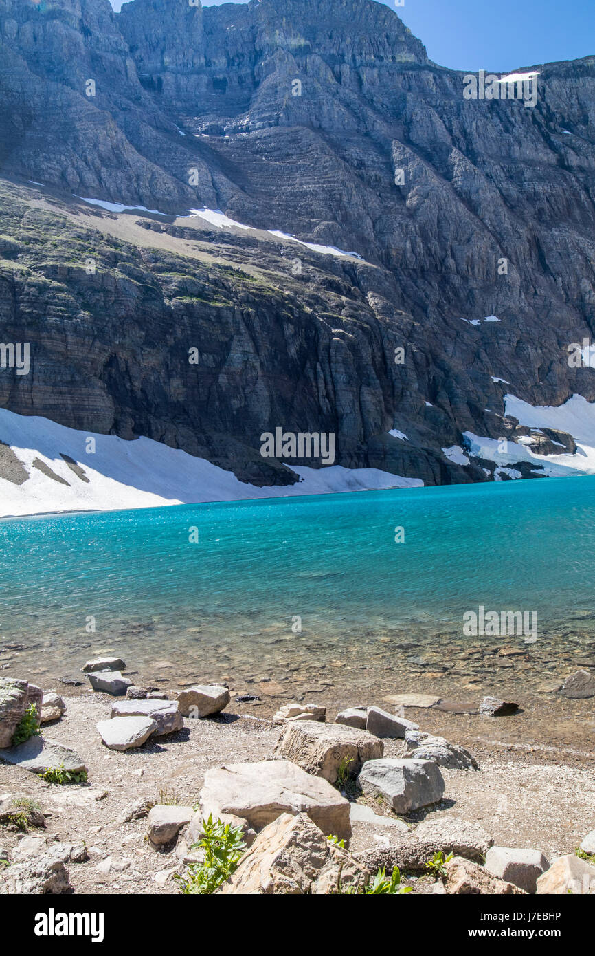 Iceberg lake Glacier National Park Landscape Flowers Wild flowers Stock ...