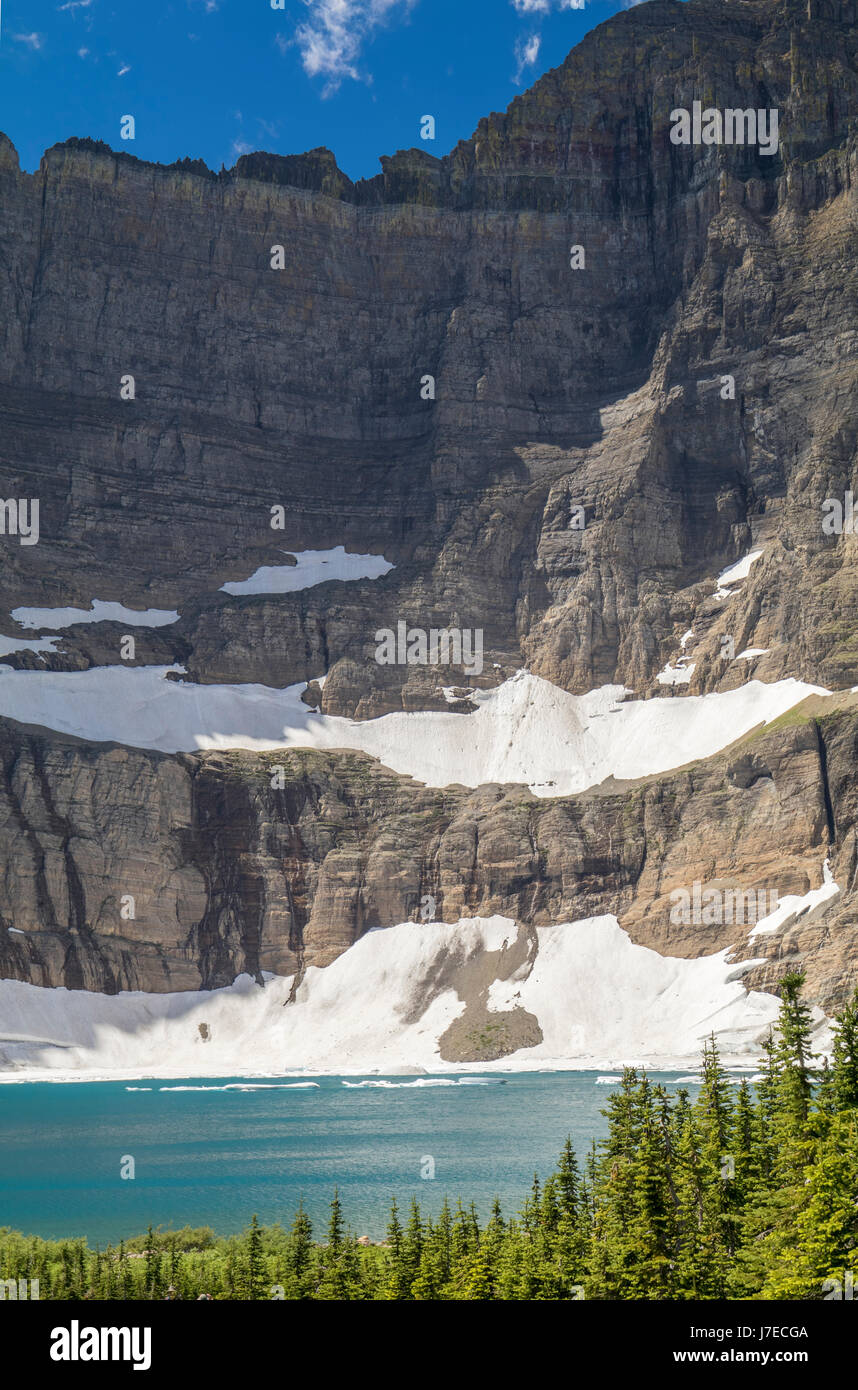 Iceberg lake Glacier National Park Landscape Flowers Wild flowers Stock ...