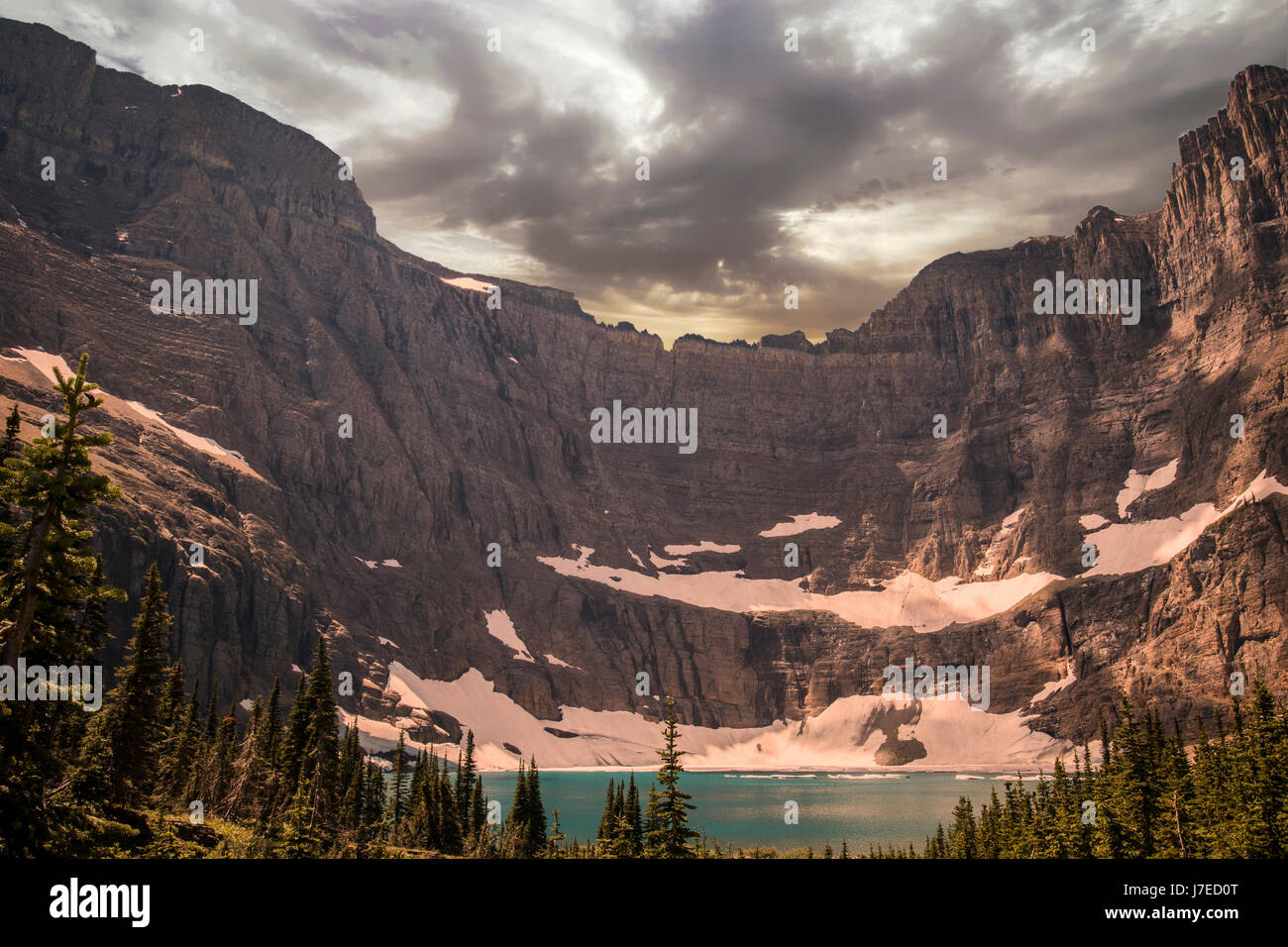 Iceberg lake Glacier National Park Landscape Flowers Wild flowers Stock ...