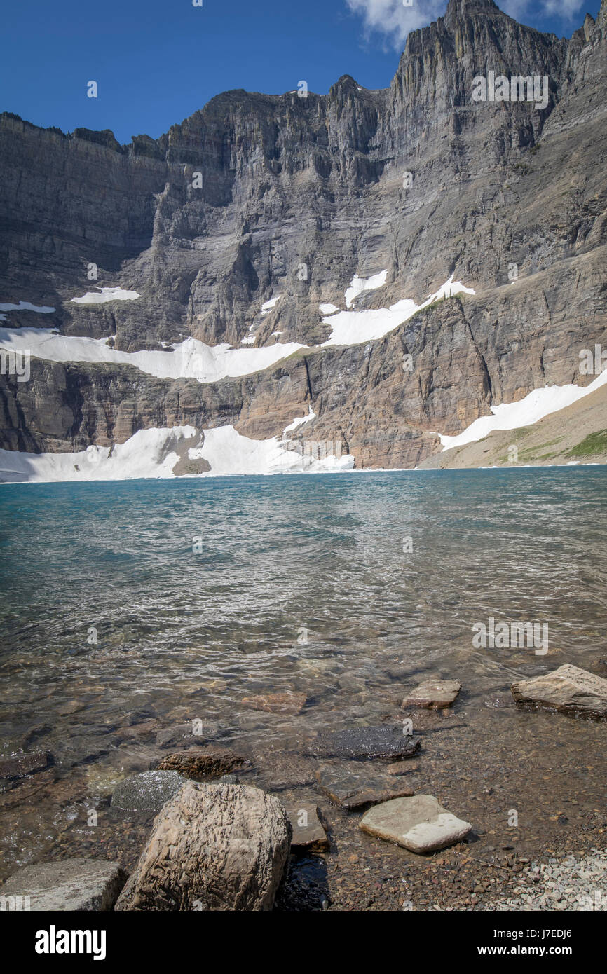 Iceberg lake Glacier National Park Landscape Flowers Wild flowers Stock ...