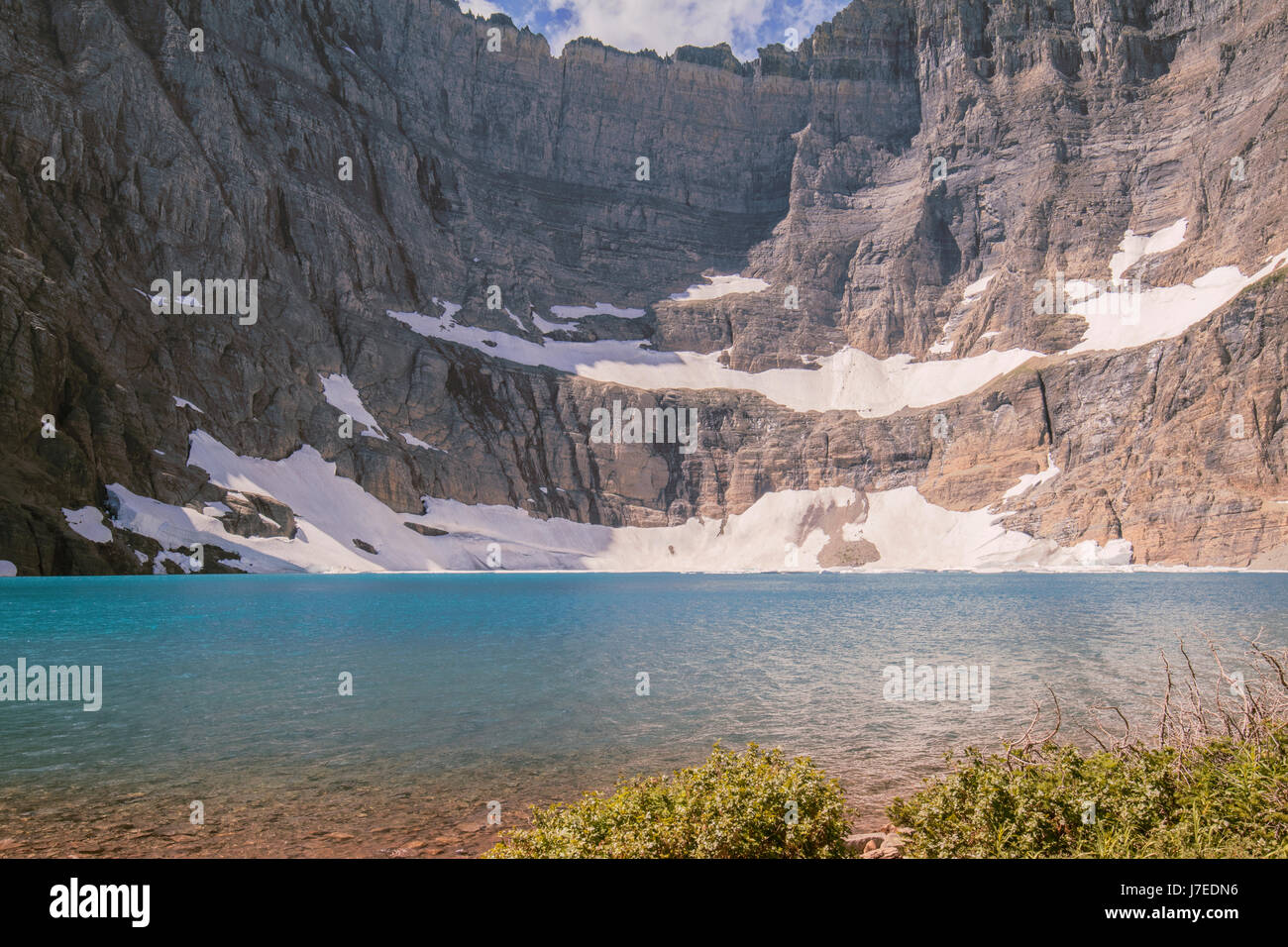 Iceberg lake Glacier National Park Landscape Flowers Wild flowers Stock ...