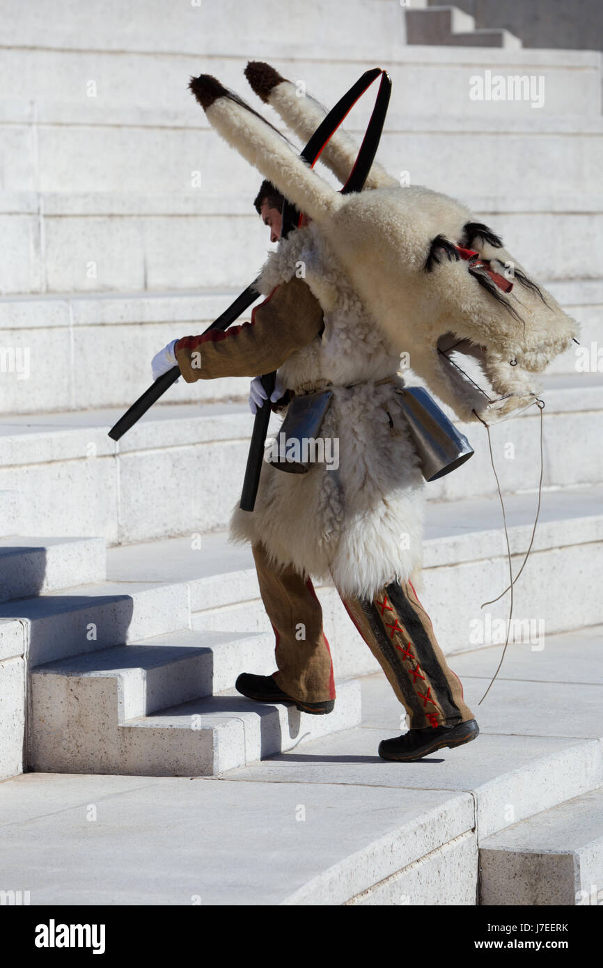 Zvoncari hires stock photography and images Alamy