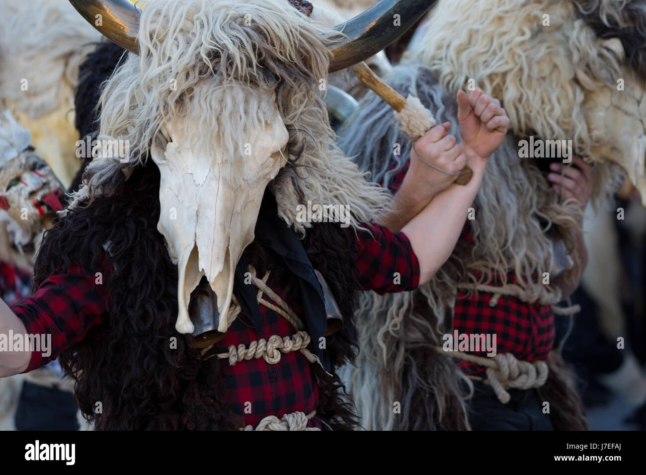 Grobnicki dondolasi hires stock photography and images Alamy