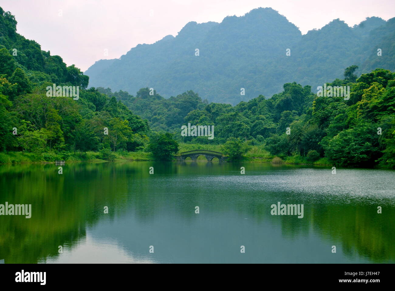 Beautiful river scenery, Ninh Binh province, Vietnam Stock Photo