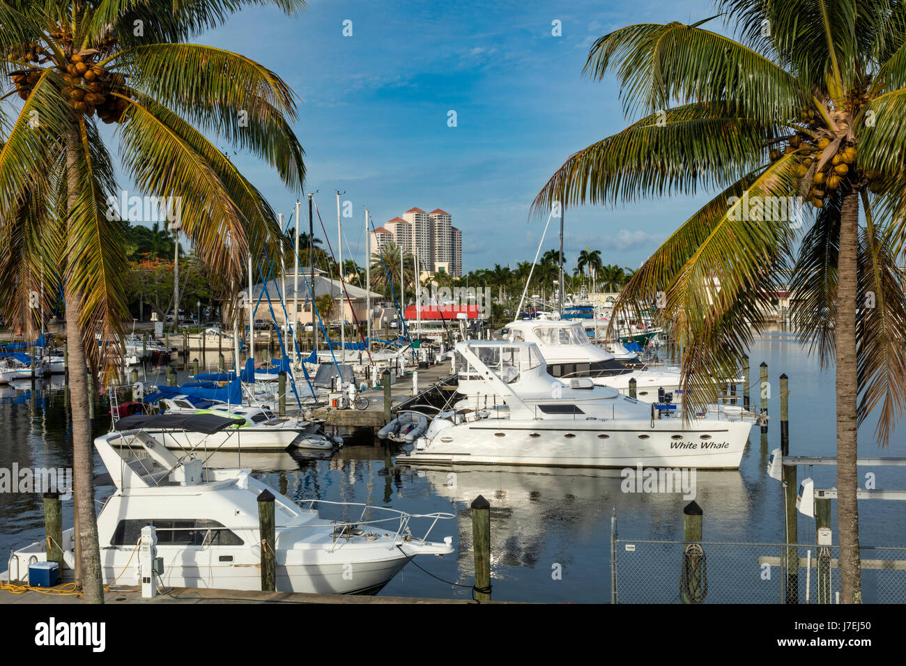 Early morning over the Fort Myers Yacht Basin Marina and buildings of Fort Myers, Florida, USA Stock Photo