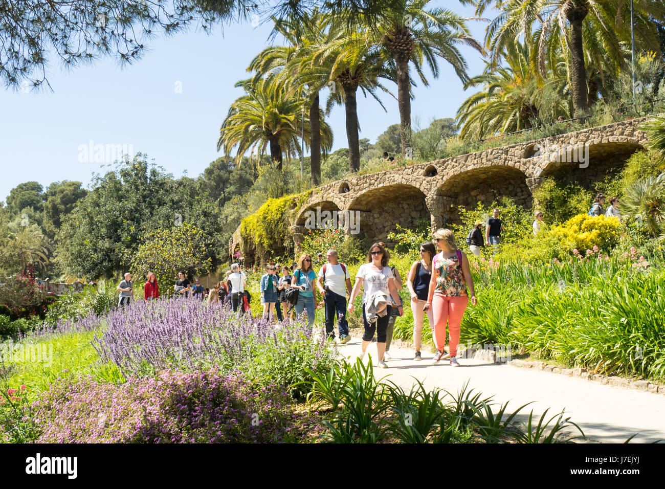 Landscaped garden, viaduct and palm trees in Antoni Gaudi's Park Güell,  Barcelona, Spain Stock Photo - Alamy