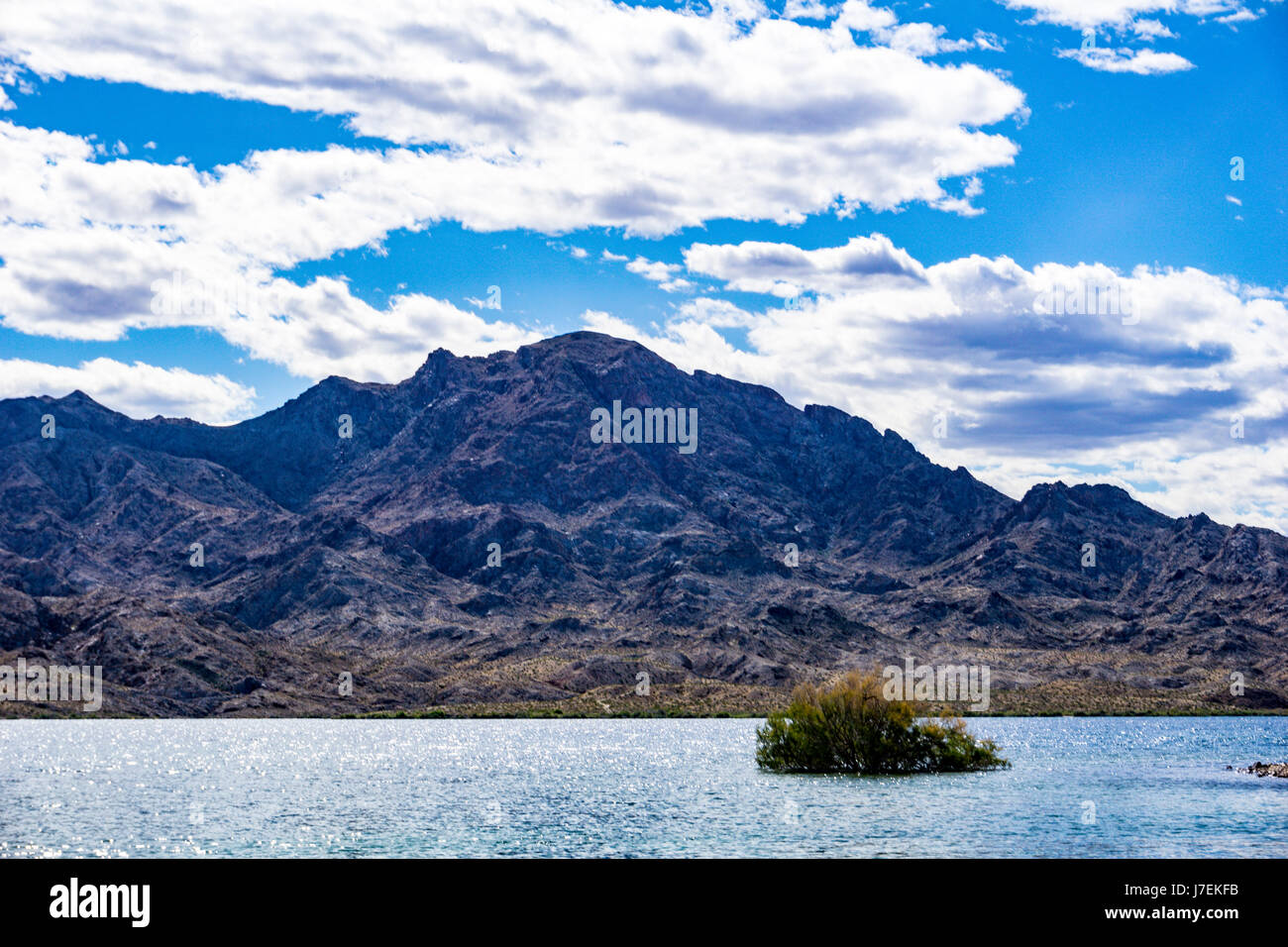 Lake Mohave Arizona Stock Photo Alamy