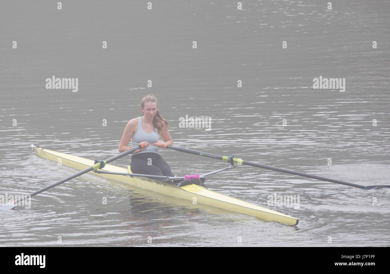 Chester, Cheshire, 25th May 2017 UK Weather. The day begins with foggy coastal and inland areas this morning before the sun burns it away to be yet another hot day for many in the UK. A foggy start in Chester for this rower on the River Dee before it becomes the hottest day of the year so far, this year Stock Photo