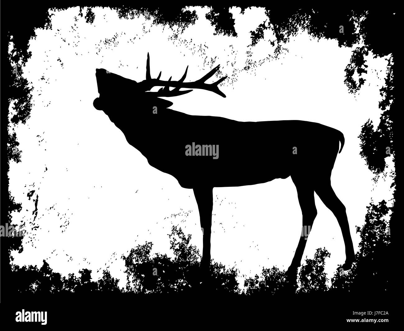 silhouette horns deer deer stag hoofed animal hart stag silhouette horns deer Stock Photo