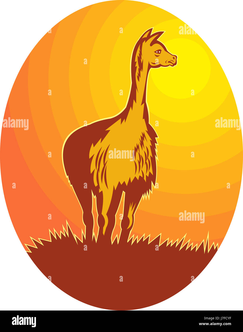animal wild illustration wildlife alpaca retro animal mammal wild ...