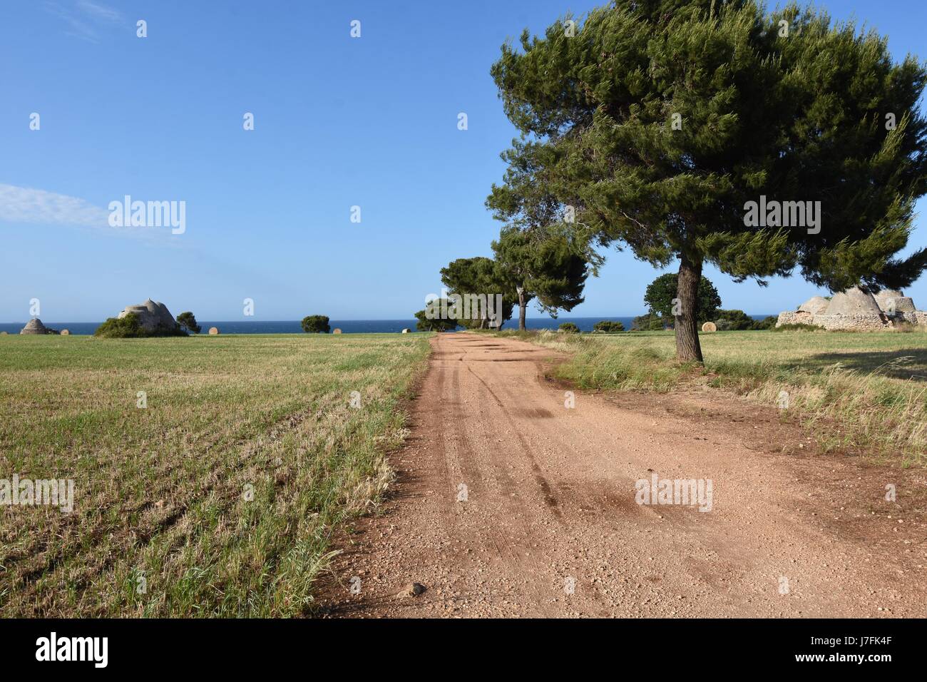 Apulia Country Country road to the sea, Apulia Stock Photo - Alamy