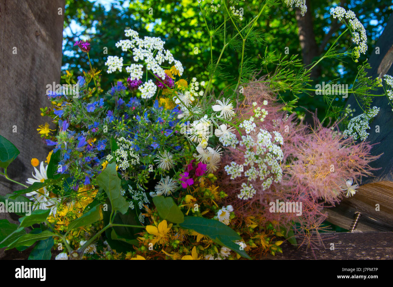 Naturally wild hi-res stock photography and images - Alamy