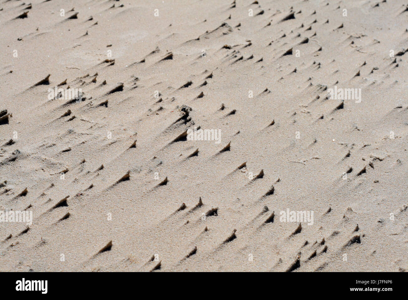 Beach Seaside The Beach Seashore Wallpaper Pattern Backdrop Background Beach Seaside The Beach Seashore Wallpaper Pattern Backdrop Background