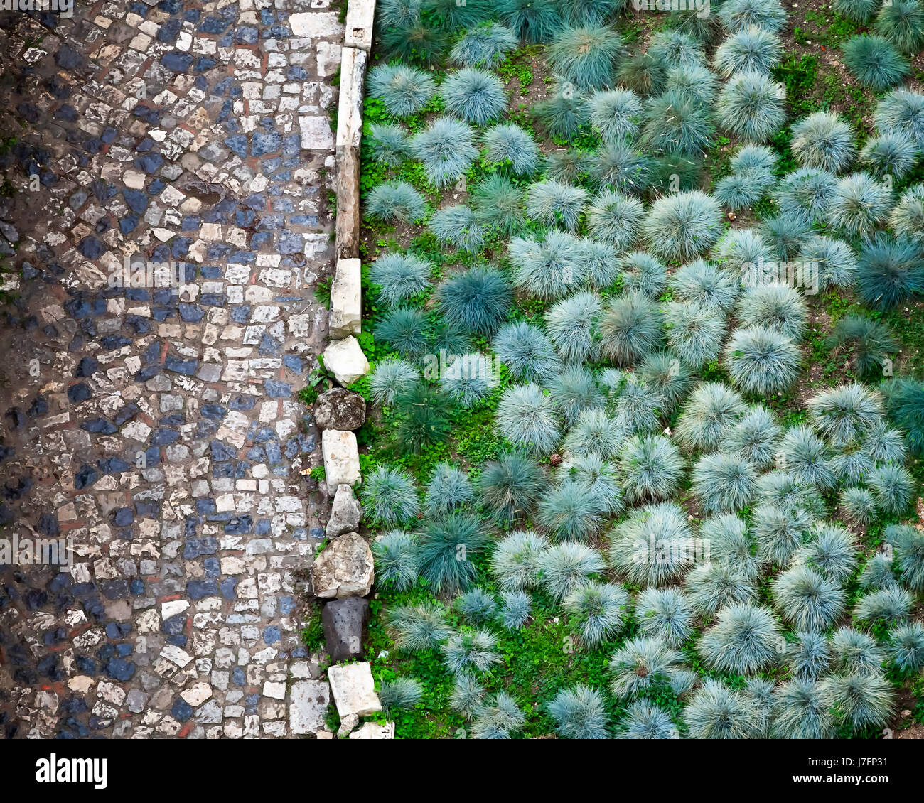 Cobbled Road and Green Plants in San Giorgio Fortress in Lisbon, Portugal Stock Photo