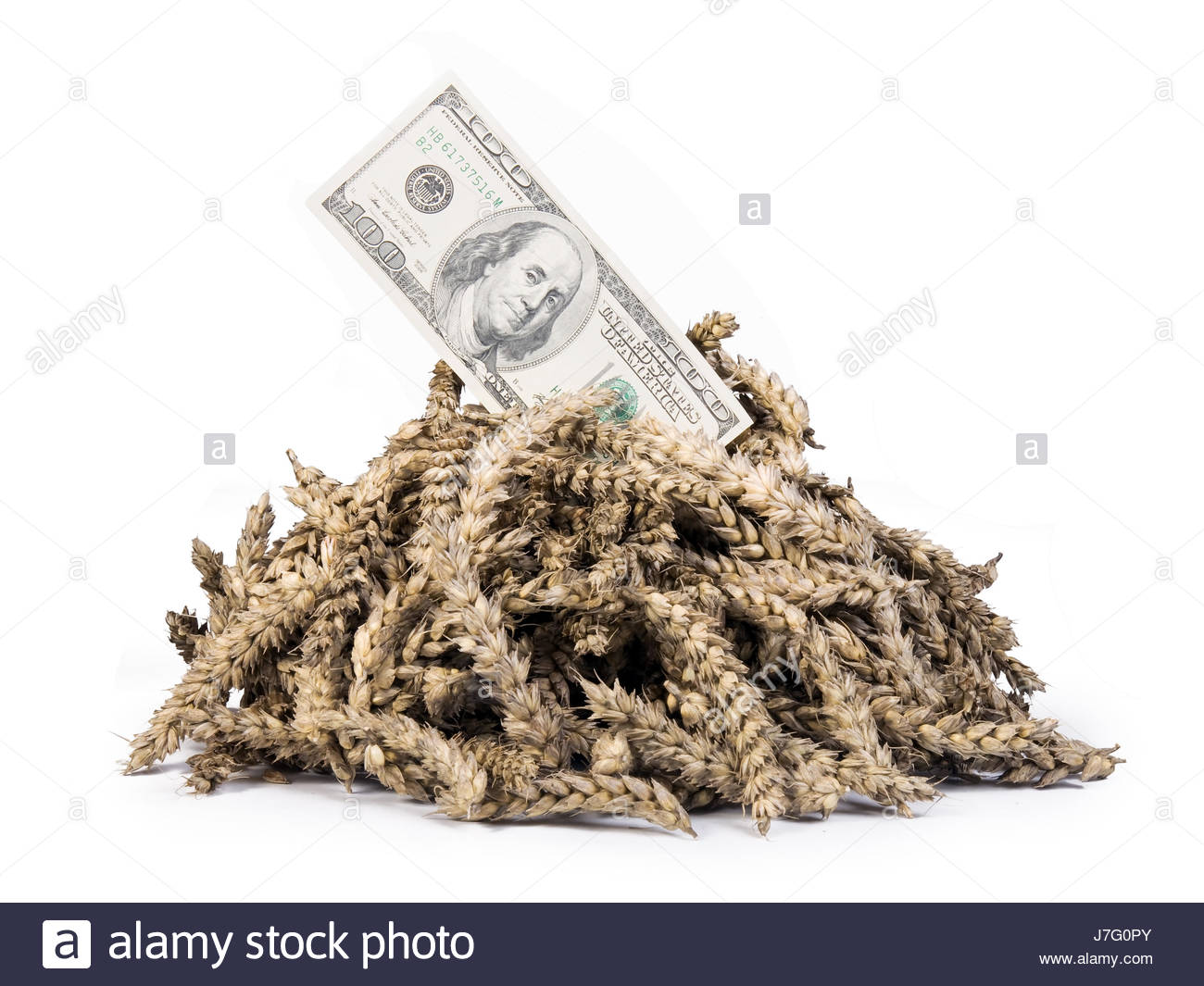 Farm Crisis Cut Out Stock Images Pictures Alamy - dollar dollars currency agriculture farming grain harvest farm money cereal pay stock image