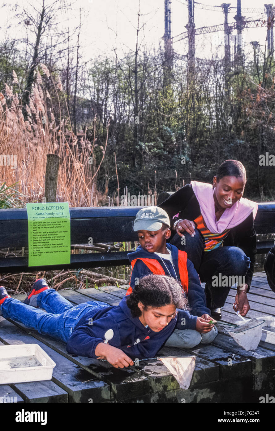 A boy and girl with their mother pond dipping at Camden Natural Park, London, London Wildlife Trust Stock Photo